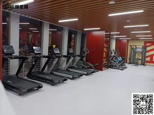 快盈VIII完成的济南某部门单位健身房