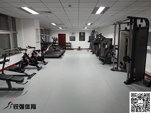 济南某集团采购的快盈VIII提供的健身器材